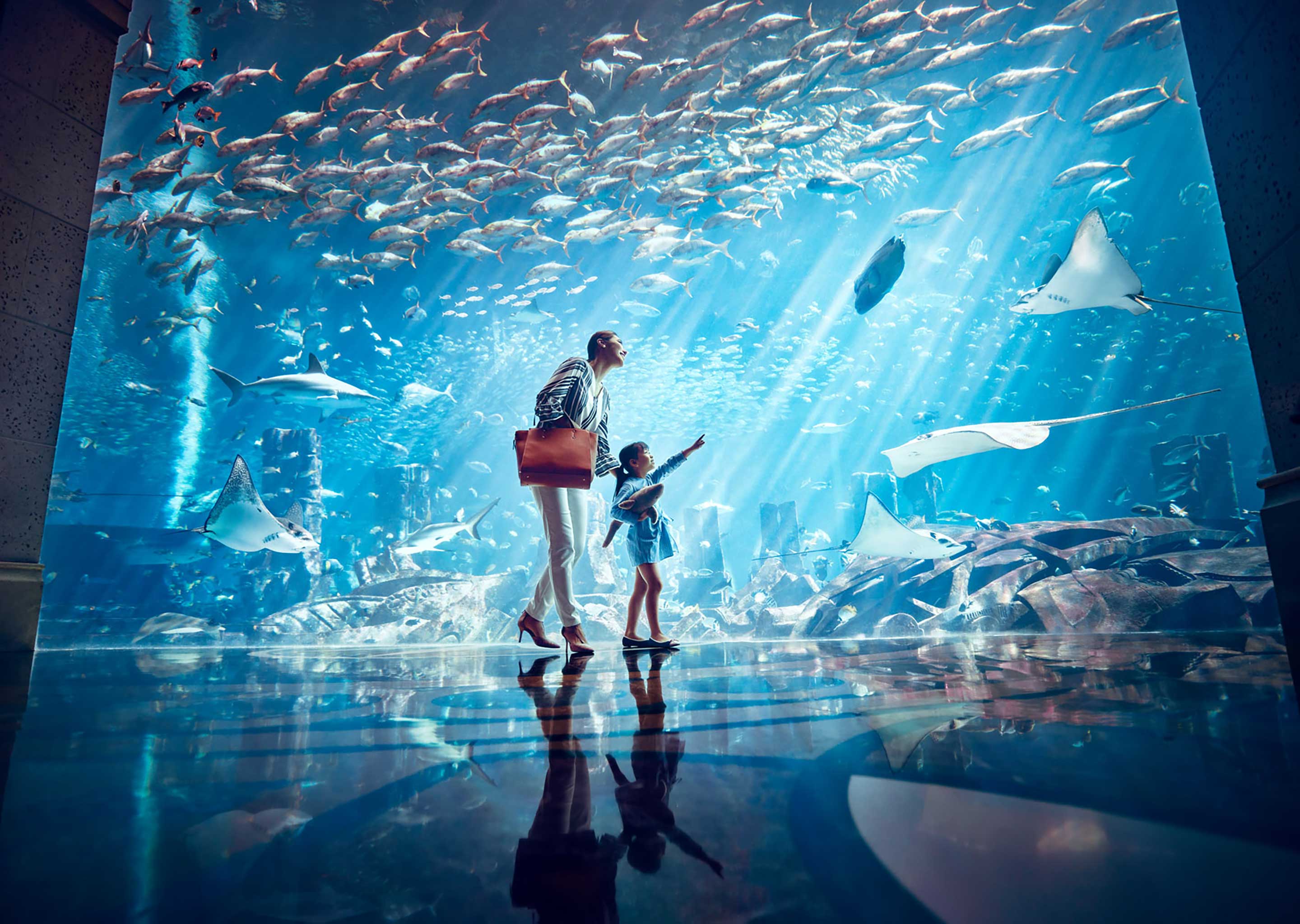 hoek kan niet zien Converteren Marine Life & Waterpark Resort | Aqua Park | Atlantis Aquaventure