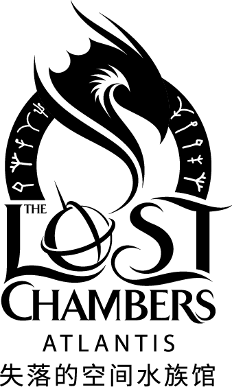 The Lost Chambers Logo Black